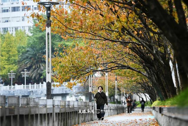 图库推荐丨贵阳：初冬时节好风景