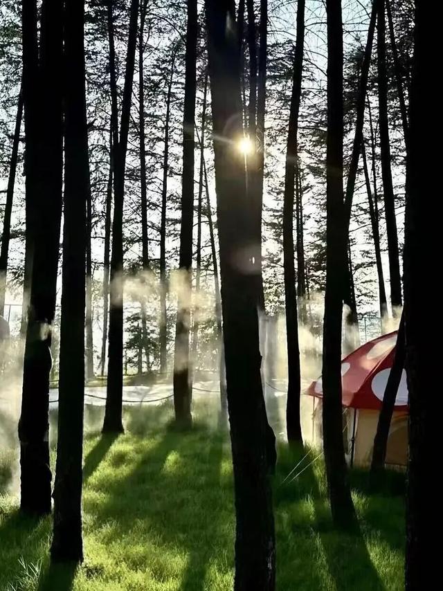 林间咖啡、湖中落日...嵩县这处小众秘境，你一定要知道！