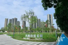 图集｜去新开的大朗中心公园玩，给你8个建议！图片