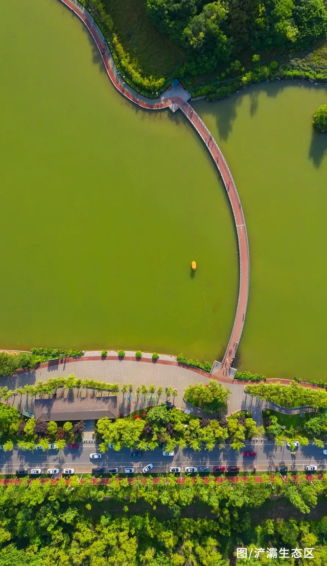 西安冬季观鸟指南 赴一场“飞羽之约”