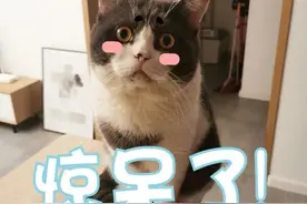 仅28岁！他确诊了！图片