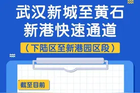 黄石：构建综合枢纽  助力支点建设图片