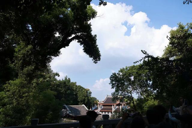晚潮｜看万山红遍