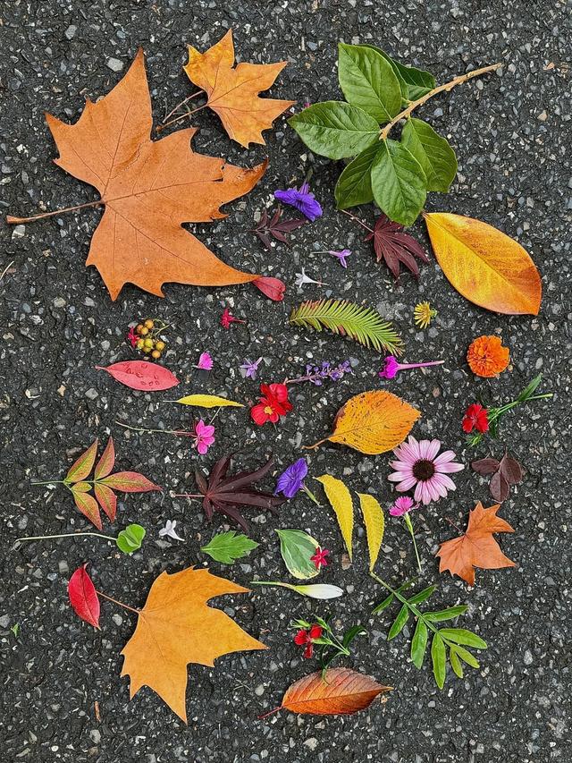 周末，去“捡秋”！