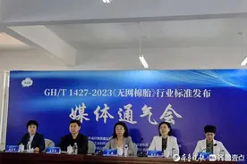 填补国内外标准空白《无网棉胎》行业标准发布图片