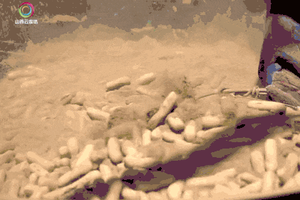 乡见中国·遇见隰县