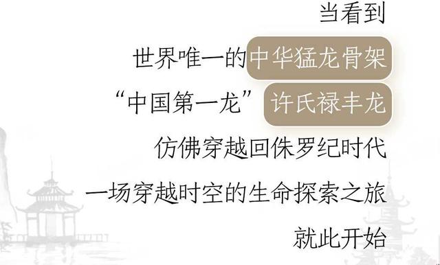 创意长图丨抓住暑假的尾巴，来河北解锁博物馆奇妙行