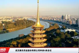 武汉康乐药业股份有限公司申请II类会议视频封面