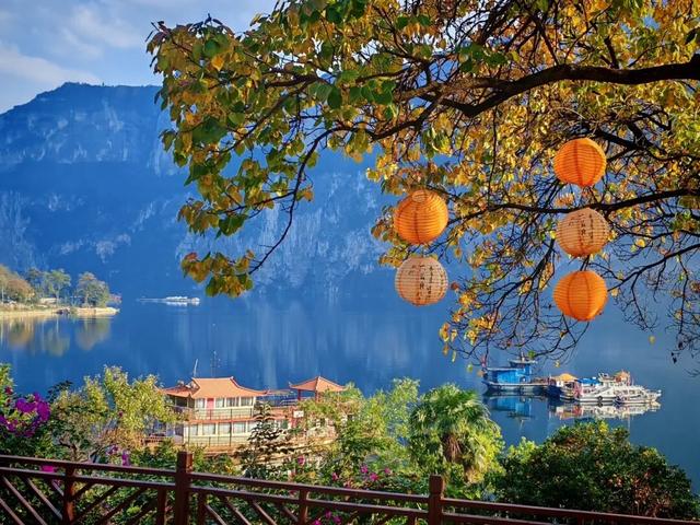 本周末，化屋村迎来一波打卡热