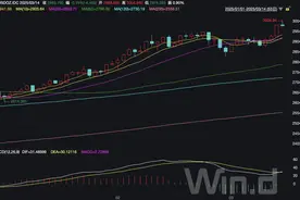 去年40次破纪录，为何是黄金在闪耀？图片