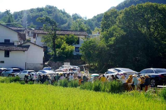 陕西宁陕县积极打造西安避暑纳凉后花园