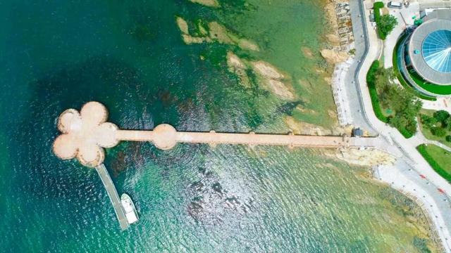 金秋重逢乐威海丨沐风追光·山海自驾之旅