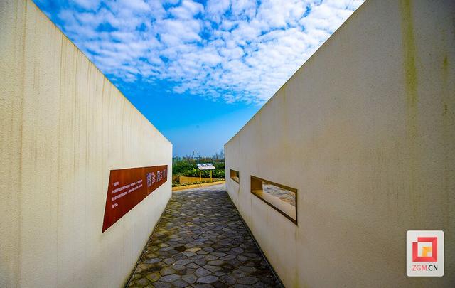 龙艺街口袋公园：“长满”恐龙的地方