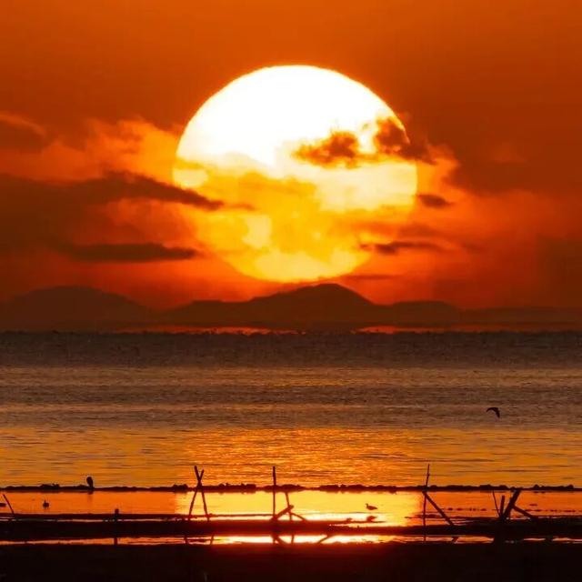 历时一年半，终于可以免费了