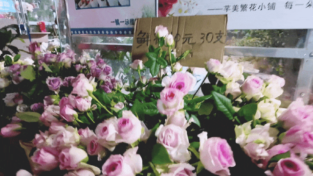 现在就出发，来姚安！