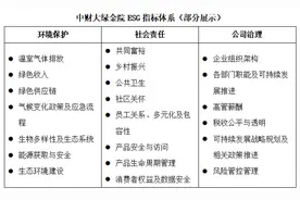 ESG评级行业调查② | “自下而上”评价框架渐成共识，中外指标互认仍存较大挑战图片