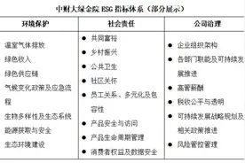 ESG评级行业调查② | “自下而上”评价框架渐成共识，中外指标互认仍存较大挑战图片