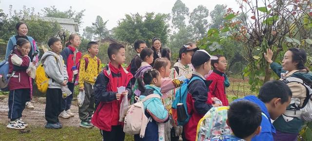 首个秋假去哪里？自贡高新区28名“小小探险家”探秘森林挑战自我