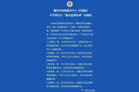 禁止入园！重庆动物园通报拉黑36人图片