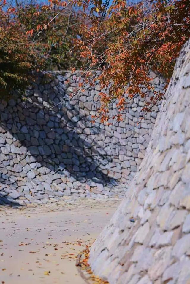 日照色彩派对开启！“美拉德”风景正当时！