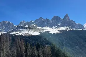 树木间能交流？科学家新发现：云杉树能预料到日食，提前数小时同步信号图片