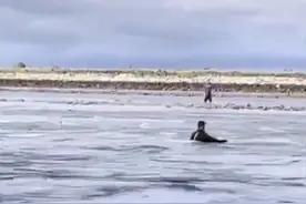 女子赶海被暗流卷入深水区，烟台港消防员下水成功施救图片