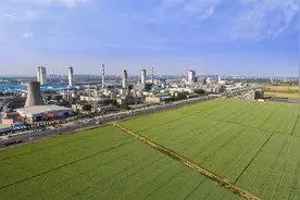 河南省第五次全国经济普查公报发布图片