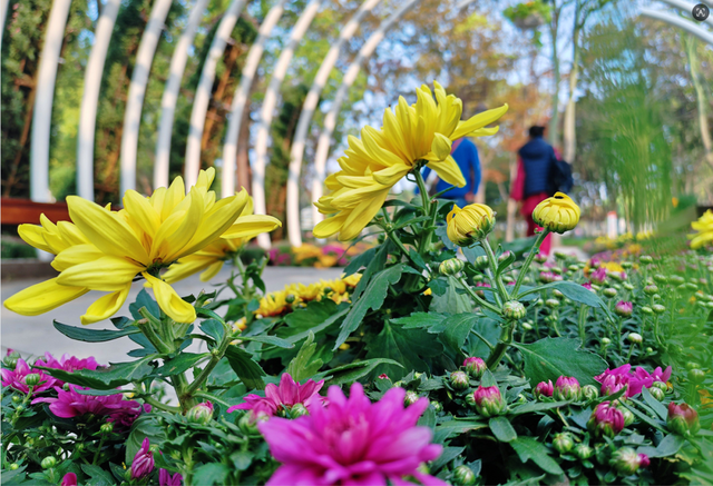 来了来了！南通秋天的仪式感