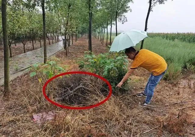 乡村女教师新婚8个月遇害，警方掘坟提取DNA固定证据，案发22年后丈夫再次出庭受审坚称无罪