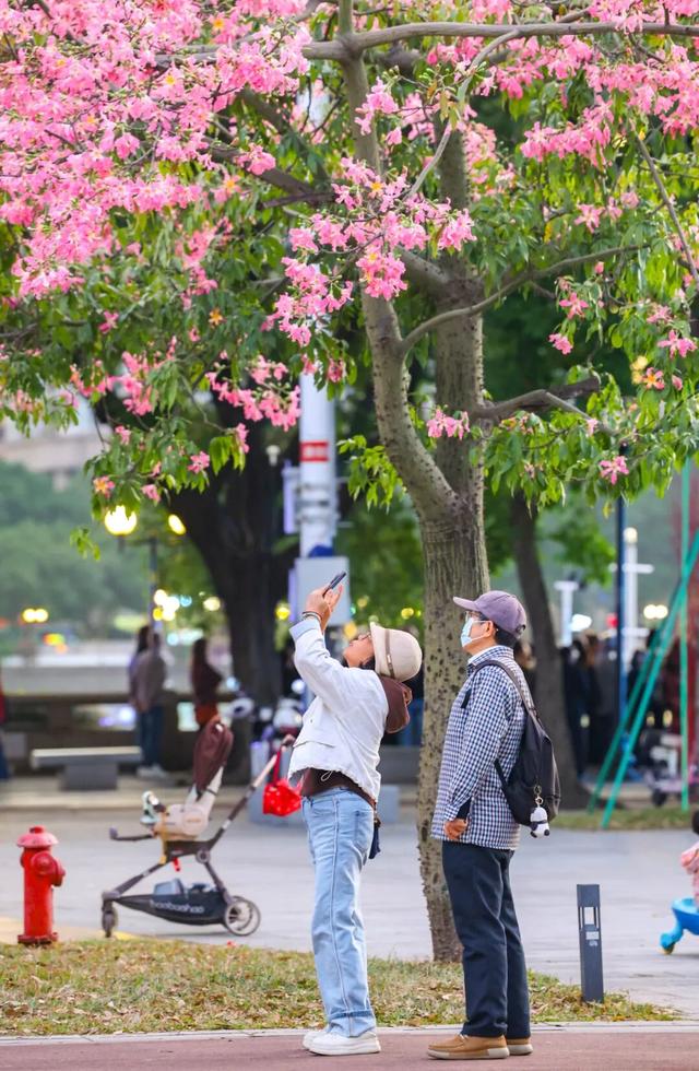 我愿意为了这道色彩，来越秀N次
