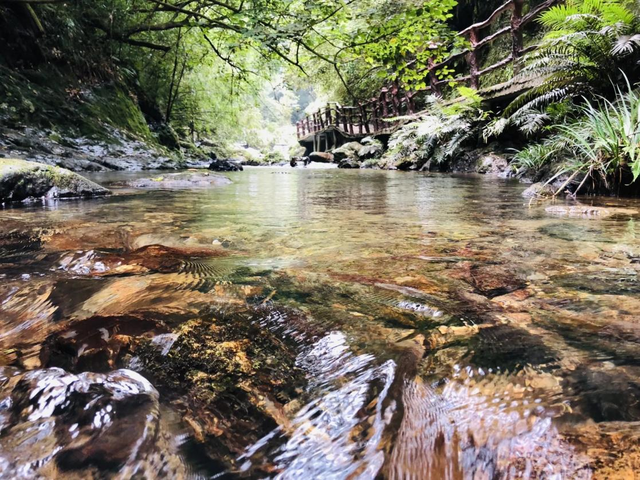 湖南红色记忆⑧丨邵阳八路军驻湘通讯处旧址：暗夜火种照亮三湘统战记忆