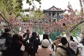 追繁花 | 五龙潭畔赏春花，海棠花开引游人图片