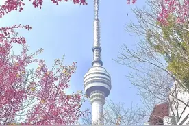 独属武汉，限定浪漫“樱花黄金周”，7条线路带你玩转樱花季图片