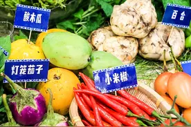 云视角｜“云菜”自信出滇　又是一年好“丰”景图片