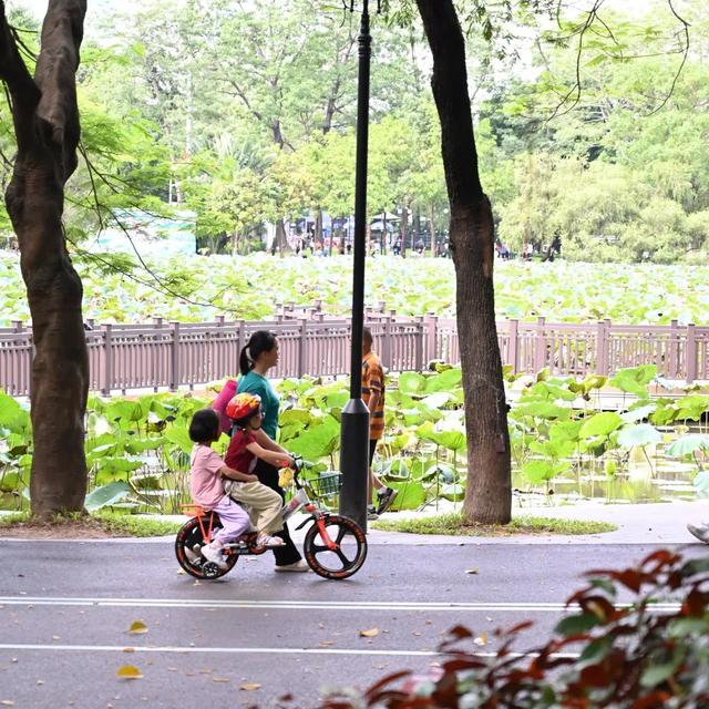 地铁直达，我们去这个乐园碰头！