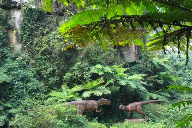 辟谣！网传犍为一景区发现恐龙化石？景区回应来了……
