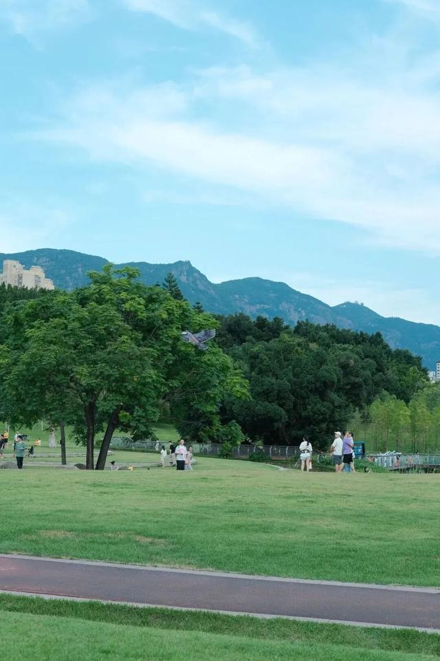 这个假期，来福州解锁“松弛感”