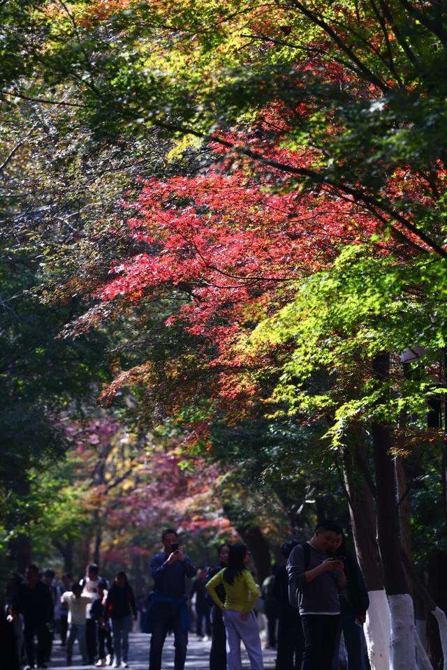 “CHUA”的一下，65%！