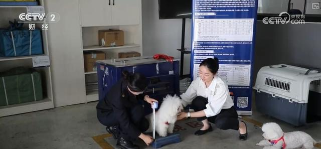 推着自行车上火车、晚上睡觉白天游玩 特色服务让山水之约有了全新打开方式