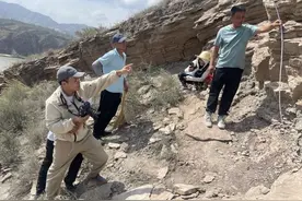 首次在我国西北发现！微小型恐龙足迹化石图片