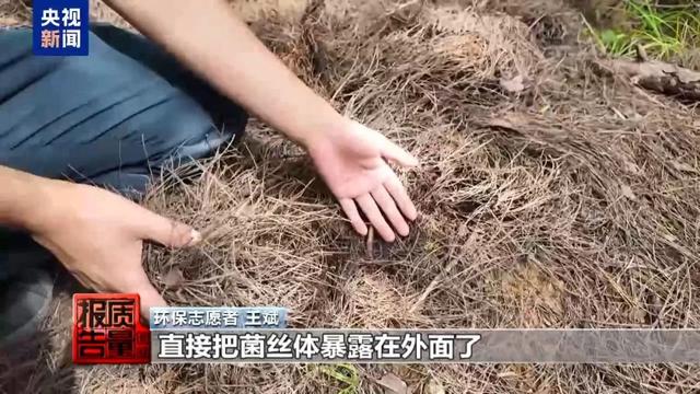 一天超万名游客进山！这个旅游项目爆火，专家警告：一旦破坏就“断子绝孙”了