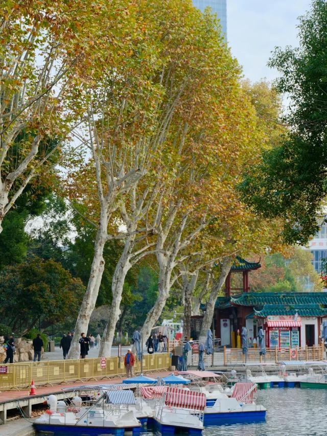 周末N次方|打开这份江汉赏秋图鉴→