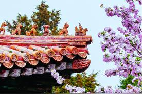 北京市文物局与世界建筑文物保护基金会签署合作备忘录 共同推动文物保护与研究图片