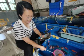 “返乡”情浓 “头雁”领飞图片