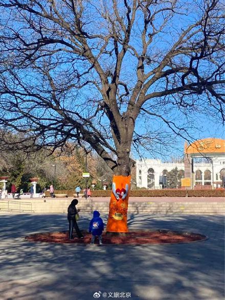 北京冬日浪漫天花板！运河边的治愈约会太绝了️