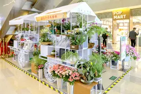 北京市第二届家庭园艺嘉年华（西城区）活动亮相北京金融街图片