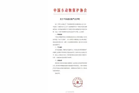 中国小动物保护协会辟谣：某动物保护协会让潘宏拿100万系谣言图片