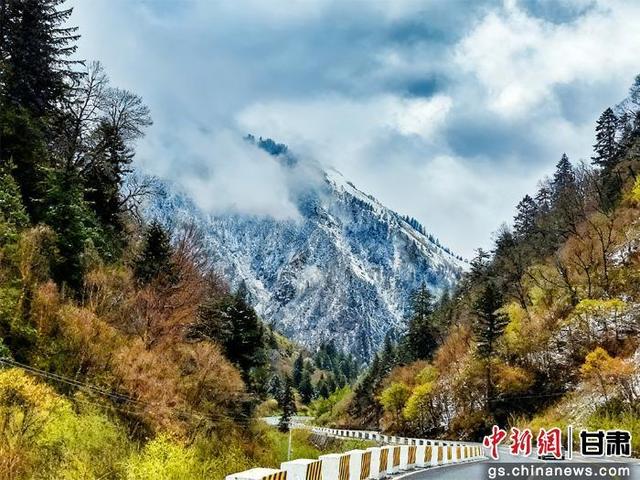 宕昌：古道红路 激活山水灵韵“文化脐带”