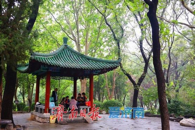 一年四季 泉在济南|细雨如丝，百花公园秋意朦胧