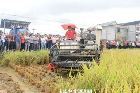 高标准农田建设 凤冈这样做图片